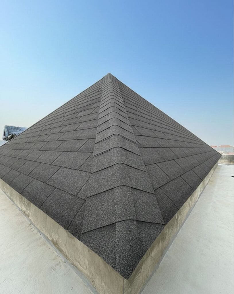 whatsapp image 2025 12 12 at 18.23.51 b077faa9